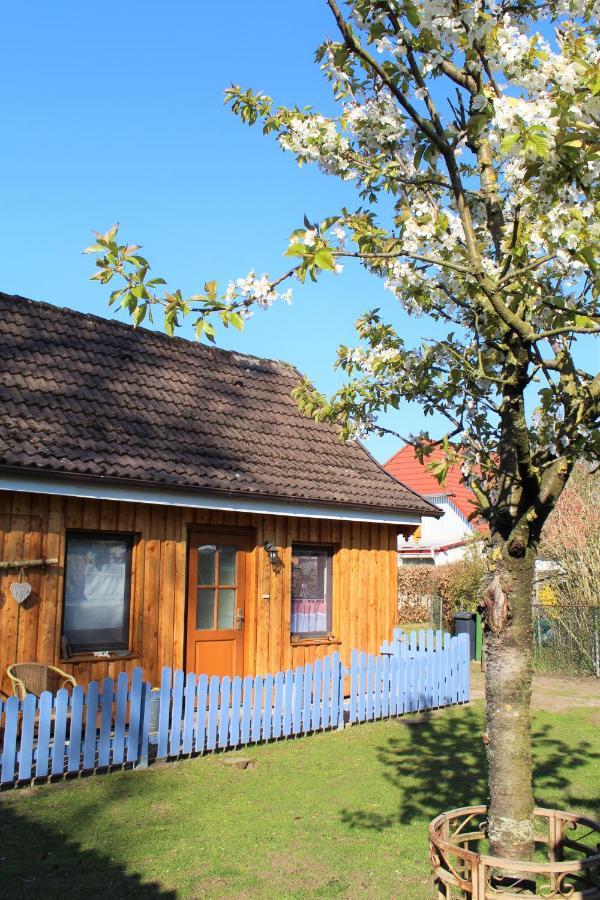 Ferienhaus/Ferienwohnung Reinecke Hodenhagen Exterior foto